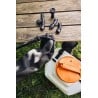 Stihl SGA 60 Opryskiwacz akumulatorowy, zestaw z 2× akumulatorem AK 10 i ładowarką AL 101, zbiornik 15 l