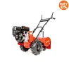 Zdjecie produktowe [cedrus-naklejka-CEDRUSGLX480]