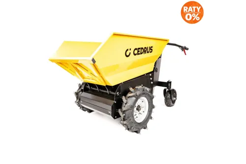 Zdjecie produktowe [cedrus-naklejka-CEDTA500]