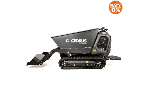 Zdjecie produktowe [cedrus-naklejka-CEDTR800GH-L]