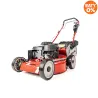 Zdjecie produktowe [cedrus-naklejka-WB537SLC V 3IN1]