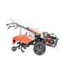 Glebogryzarka GL10 spalinowa Cedrus GLX680 — nr CEDRUSGL10