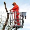 Stihl MS 201 TC-M Pilarka spalinowa — nr 11452000328