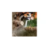 Stihl MS 201 TC-M Pilarka spalinowa — nr 11452000328