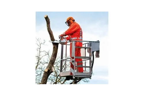 Stihl MS 201 TC-M Pilarka spalinowa — nr 11452000328