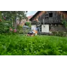Stihl RM 650 T Kosiarka, 3w1: koszenie — nr 63640113441