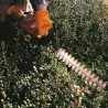 Stihl HS 45 Lekkie nożyce spalinowe — nr 42280112938