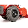 Cedrus GL03 PRO-B&S CEDRUSGL03PRO-B&S SILNIK B&S Briggs&Stratton