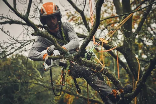Stihl GTA 40 Przecinarka akumulatorowa — nr GA040116918