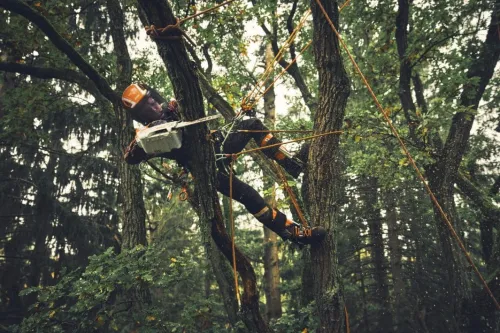 Stihl MSA 190 T Pilarka akumulatorowa — nr MA052000021