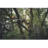 Stihl MSA 190 T Pilarka akumulatorowa — nr MA052000021