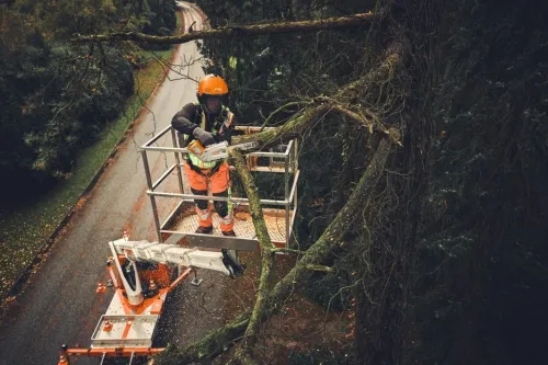 Stihl MSA 190 T Pilarka akumulatorowa — nr MA052000021