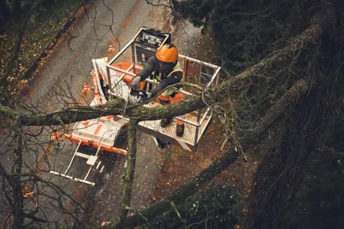 Stihl MSA 190 T Pilarka akumulatorowa — nr MA052000021