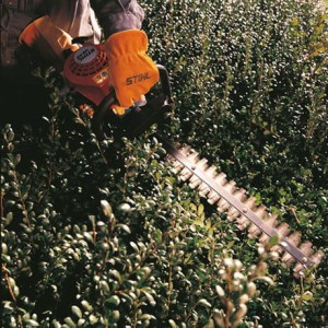 Stihl HS 45 Lekkie nożyce spalinowe do żywopłotów 60 cm podczas cięcia żywopłotu.