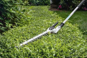 Nożyce do żywopłotu Stihl HL-KM 145° przystawka Kombi w ogrodzie.