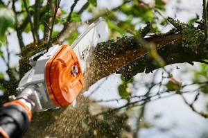 Podkrzesywarka Stihl HT 135 tnie gałąź.