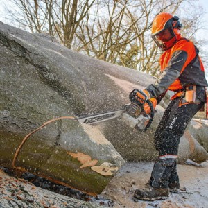 Operator używający Stihl MS 661 C-M Pilarka spalinowa do cięcia dużego drzewa.