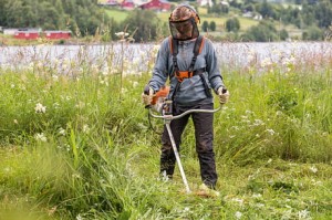 Użytkownik korzystający z Stihl FS 240 Kosa spalinowa podczas koszenia trawy na łące.