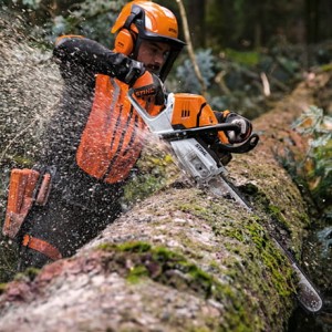 Mężczyzna używa Stihl MS 500i W Pilarki spalinowej z ogrzewanym uchwytem do cięcia drzewa w lesie.