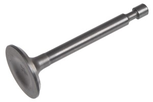 Zawór silnika Cedrus silnik Y170V