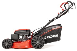 CEDKS53S_2025_10.jpg