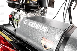 cedsm50-11_17856.jpg