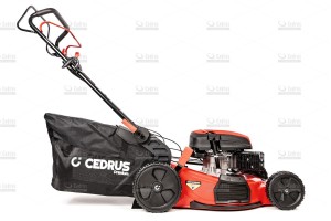 cedlp53s-04_18630.jpg