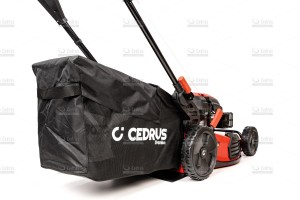 cedlp53s-05_18631.jpg