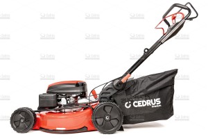 cedlp53s-09_18635.jpg