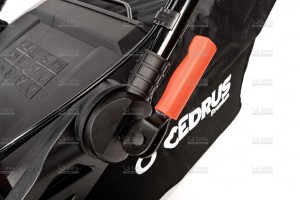 cedlp53s-14_18639.jpg