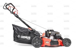 cedlp53s-l-04_18553.jpg