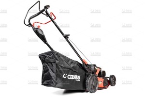 cedlp53s-l-05_18554.jpg