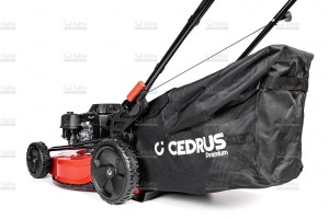 cedlp53s-l-09_18558.jpg
