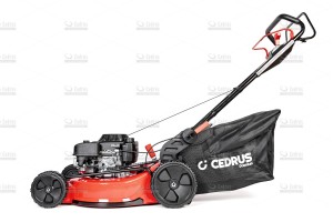 cedlp53s-l-10_18559.jpg