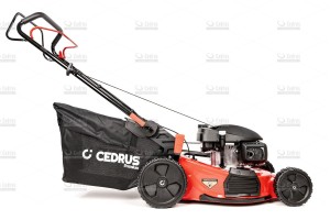 cedlp53s-h-04_18677.jpg