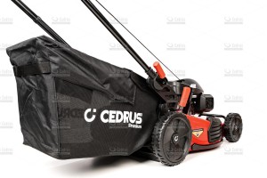 cedlp53s-h-05_18678.jpg