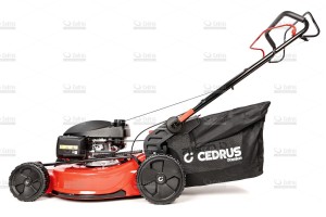cedlp53s-h-09_18682.jpg