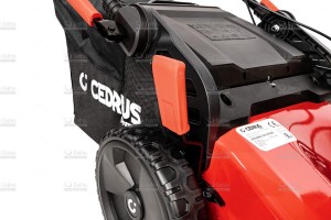 cedlp53s-h-17_18690.jpg
