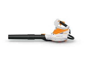 img (31).jpg