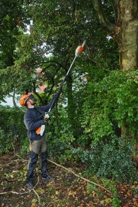 Mężczyzna przycinający gałęzie za pomocą Stihl HTA 66 w ogrodzie.