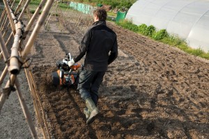 Mężczyzna pracujący glebogryzarką Stihl MH 585 na polu.