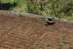 Glebogryzarka spalinowa Stihl MH 685 na polu uprawnym.