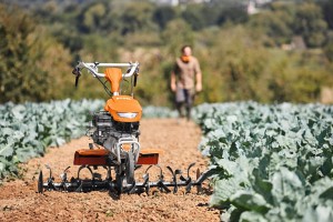 Stihl MH 700 Glebogryzarka spalinowa na polu z roślinami.
