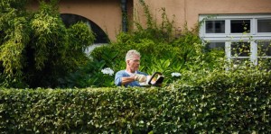 Mężczyzna przycina żywopłot używając Stihl HSA 45, nożyce akumulatorowe ze zintegrowanym akumulatorem.