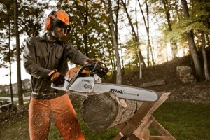 Mężczyzna używający Stihl MS 291 Pilarka spalinowa do cięcia drewna w lesie.