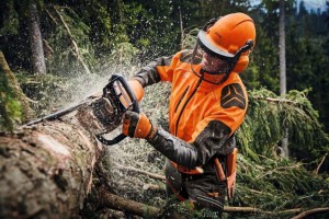 Stihl MS 462 C-M Pilarka spalinowa używana do ścinania drzewa w lesie.