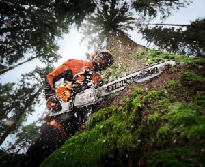 Stihl MS 500i Pilarka spalinowa do ścinki dużych drzew.