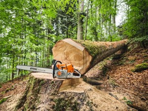 "Stihl MS 881 Pilarka spalinowa, moc 8,7 KM/6,4 KW przy ściętym pniu drzewa w lesie"