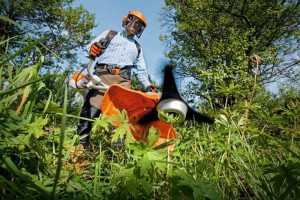 Pracownik w ogrodzie używający Stihl FS 240 Kosa spalinowa dla dużej mocy koszenia.