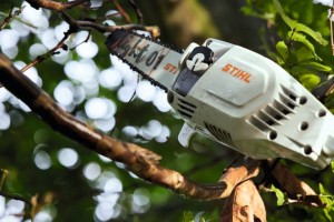 Stihl HTA 86 Podkrzesywarka akumulatorowa podczas przycinania gałęzi.